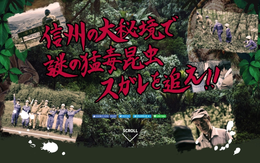 辰野町探検隊　謎の猛毒昆虫、スガレを探せ！